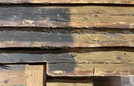 145650220_688483825177446_2373860762638096946_n